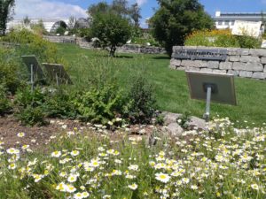 Wissenschaftsgarten in Kalbach-Riedberg/ Foto: Karola Neder