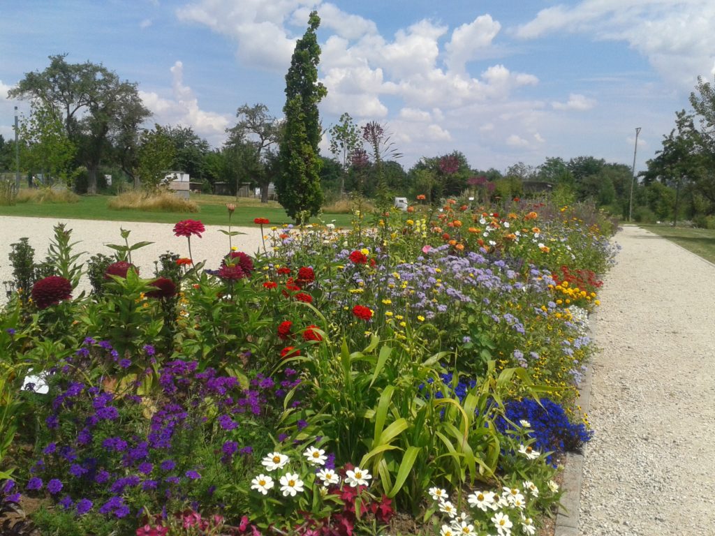 Wissenschaftsgarten in Kalbach-Riedberg/ Foto: Karola Neder