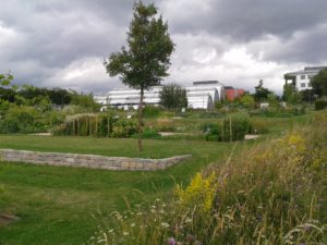 Wissenschaftsgarten in Kalbach-Riedberg/ Foto: Karola Neder