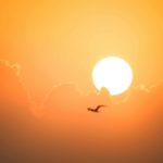 Foto: Francesco Ungaro / Pexels