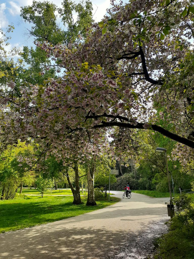 #Natur#Erholug#Frankfurt